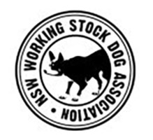 Ambassador NSW working stock dog association