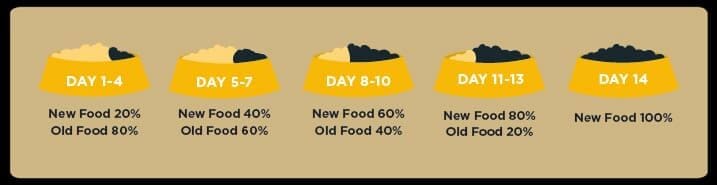 How to Transition Dog to Adult Food: Easy Steps for a Smooth Change